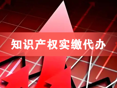 宜昌知识产权实缴资本代办